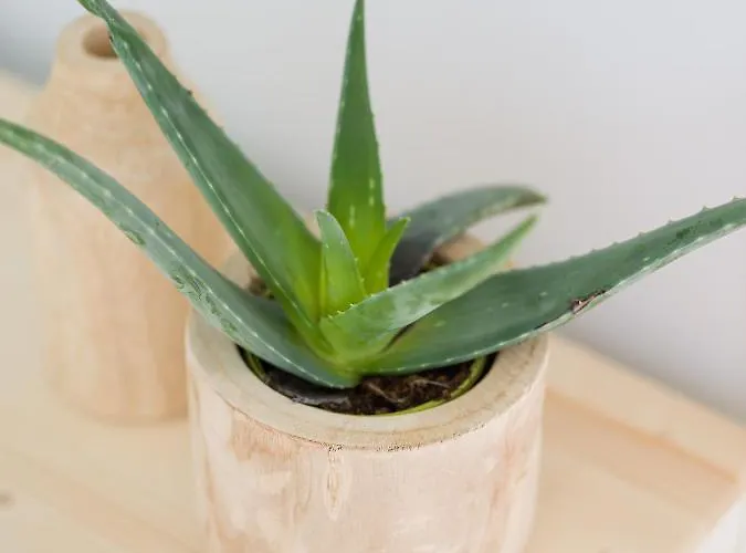 Arena Y Calma Jandia Con Aire Acondicionado *