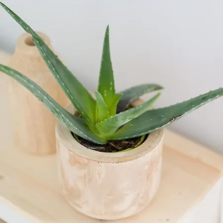 Arena Y Calma Jandia Con Aire Acondicionado *